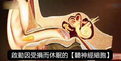 20230628_152606_263_20230629094223_078.gif